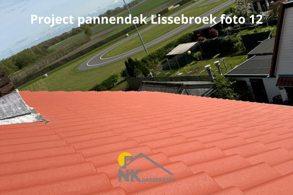 Project-pannendak-Lissebroek-12