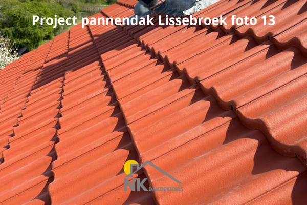 Project-pannendak-Lissebroek-13