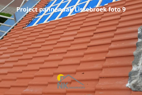 Project-pannendak-Lissebroek-9-2